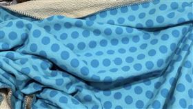 小被被，記者劉沛妘攝影