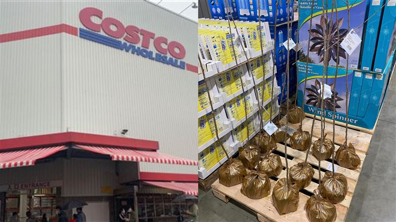 好市多1商品超酷　他抱一根天線店員傻眼
