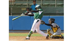 妨害性自主,棒球國手,屏東城市代表隊,桃園市成棒隊