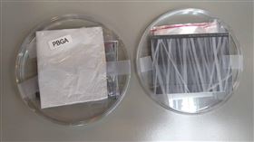 電紡紗(記者黃仲丘攝)