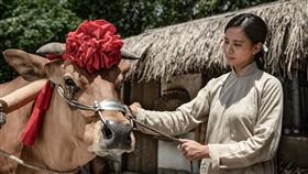 《牛車來去》安心亞 游安順 楊烈 蔡昌憲（圖／公視提供）