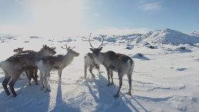 「獨立特派員」推特別報導  探氣候變