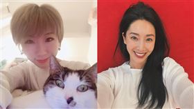 ▲隋棠發出長文反擊後，言論翻車的廣告小妹也立刻表明自己沒有帶風向。（圖／翻攝自廣告小妹臉書）