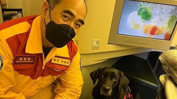 第二批搜救犬飛土國！不搭貨艙改搭商務艙