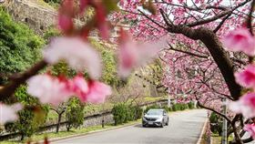 ▲Honda CR-V是輕旅行的最佳夥伴。（圖／黃君平攝）