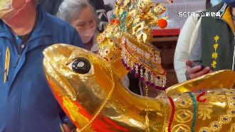 澎湖元宵乞龜　高雄得主抱回3千萬黃金龜