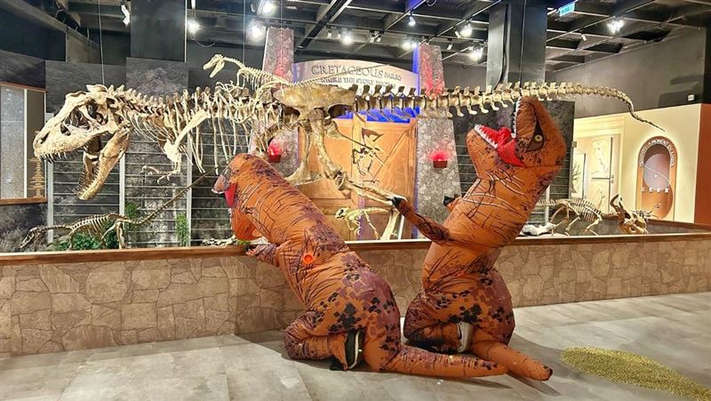科博館驚現小暴龍「哭爸」下跪：來撿骨？