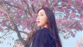 王晴。（翻攝自臉書