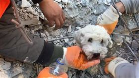 （圖／翻攝自gurcanozturkphoto IG）