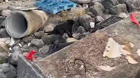 影／台中2名汪英雄奔抵土耳其！勇闖瓦礫堆找尋希望　訓練畫面網看哭。（圖／翻攝自臺中市政府消防局臉書）