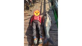 巨無霸大頭鰱，45.5台斤，小男孩比例尺，體型驚人，日月潭(圖／翻攝自日月潭一等高臉書)