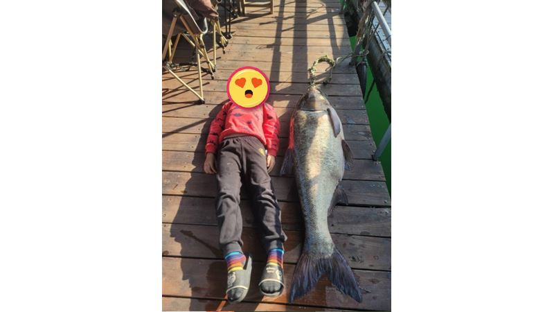 日月潭罕見「巨魚」出沒！體型等於1男童