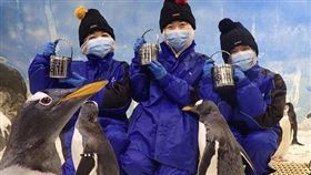 「我與企鵝的0.1毫米」照護體驗開跑！（業配勿用）