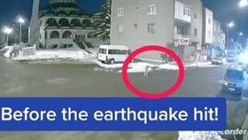 土耳其強震，白色流浪狗，地震發生前低吼長嚎，預警強震危險發生，影片網路瘋傳(圖／翻攝自silviu.g　Tiktok)