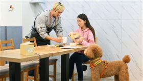 哈囉毛小孩（台視提供）