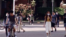 台南,疫情,成大,口罩,解禁,防疫,課程,開學,