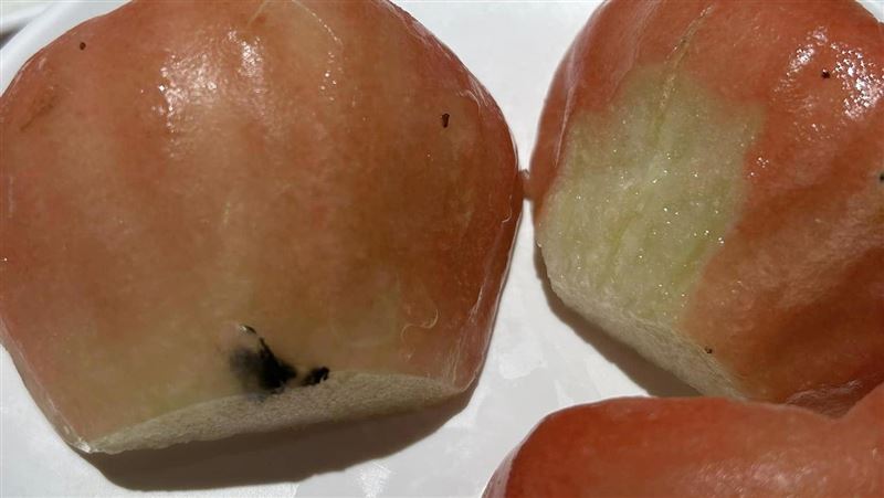 一家開心慶生　她見餐廳「蓮霧長霉」傻眼