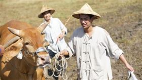潘逸安(左)親身上陣拍牽牛犁田戲碼。艾迪昇傳播提供