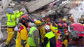 土耳其狗狗6天獲救「抓住主人遺體不放」