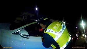 毒蟲,逃逸,摔傷,鳴槍警告,旗山分局