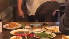 台中南屯餐廳闖入一隻老鷹，站桌上大吃菜餚，嚇跑客人。（圖／翻攝畫面）
