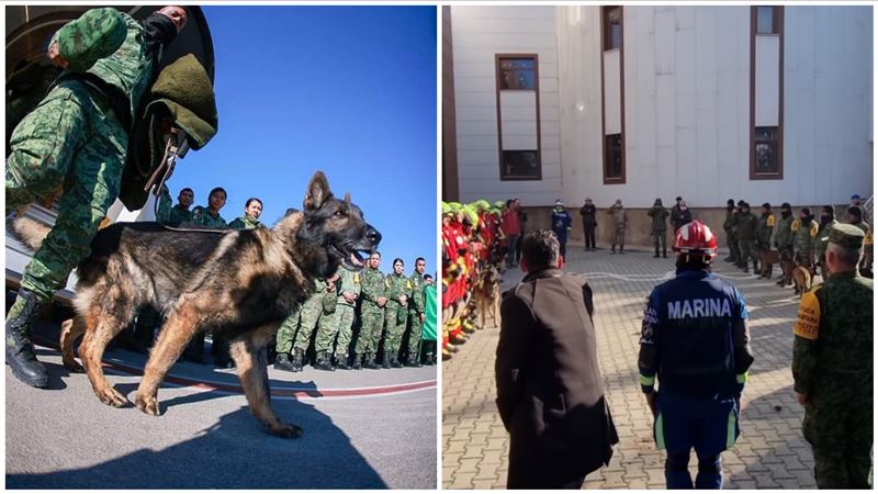 任務結束！墨西哥搜救犬Proteo不幸罹難
