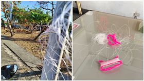 高雄,風箏,風車公園,風箏線