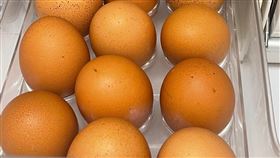 雞蛋直接放冰箱蛋室 怎麼擺才對？（圖／記者許雅惠攝影）