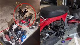 記這爆料網,女棒球隊