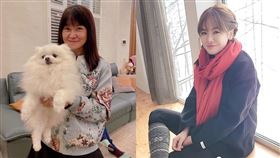 陳沂開頭就狠酸，先為大家介紹黃大米是誰。（圖／翻攝自陳沂臉書）