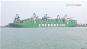 長榮海運40月年終 船員哀怨:一毛都沒有