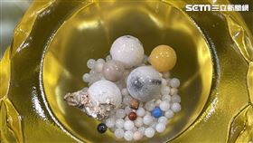 高雄,星雲大師,佛光山,圓寂,荼毘,佛光山提供