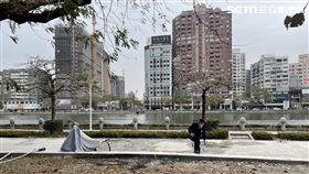 高雄,電動代步車,焦屍