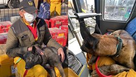 土耳其,地震,台灣搜救隊,消防，搜救犬，Tyfd-K9桃園搜救犬隊授權