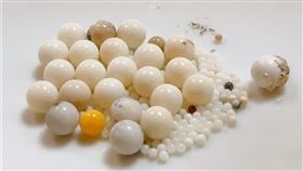 星雲大師,蘇一峰,舍利子,佛光山