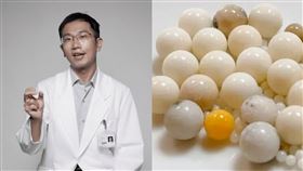 星雲法師,舍利子,蒼藍鴿,愛莉莎莎