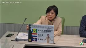 民進黨立委劉世芳。（圖／翻攝民進黨團臉書)