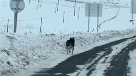 （圖／翻攝自微博）