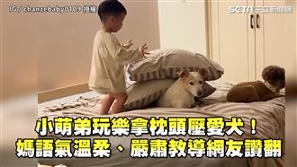 萌弟拿枕頭壓愛犬！　媽溫柔教導網友讚翻