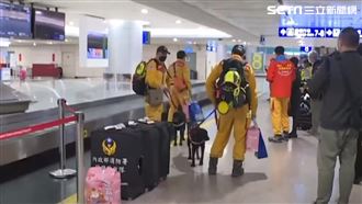 台灣隊光榮回　5隻汪英雄機場帥氣照曝光