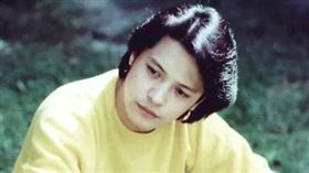 翻攝自豆瓣電影、youtube劉文正之歌