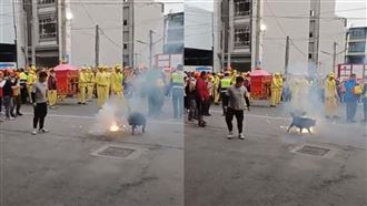 黑狗將軍「跳炮陣」！全程搖尾迎媽祖入宮