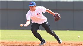 ▲張育成。（圖／中華職棒提供）