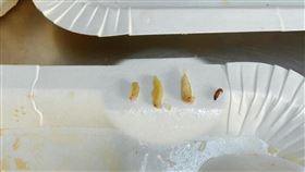 原PO表示，花椰在中有4隻蟲。（圖／翻攝自《爆廢公社二社》）