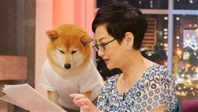 張小燕（翻攝臉書）