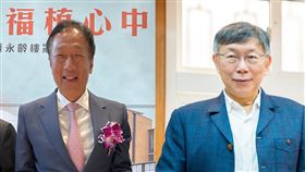 郭台銘14日表示沒有「郭柯配」，柯文哲總統夢破碎？（合成圖）
