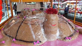 土地公誕辰八德三元宮 手作米糕龜等你來