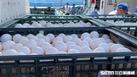 強颱樹璨颱風來襲 疏運蘭嶼 綠島遊客 送雞蛋到綠島 （圖／記者王浩原攝影）