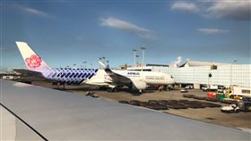 華航(陳弋攝影)