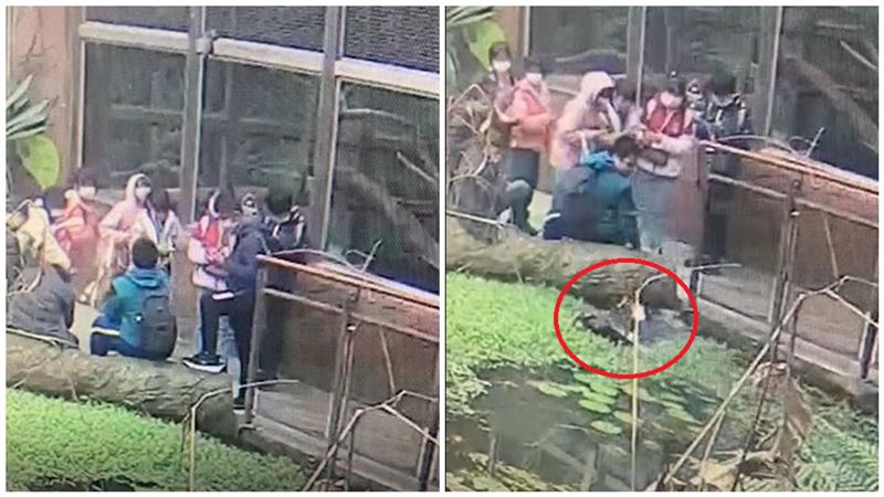 畫面曝光！動物園男童滑手機落水　先救3C